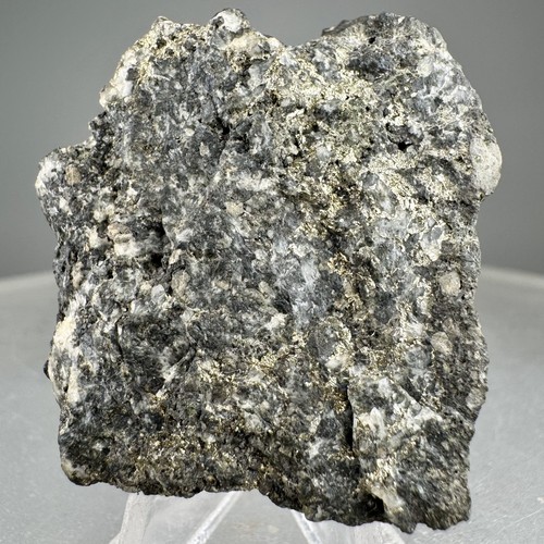 Esemplare ricco calaverite - ricco, di