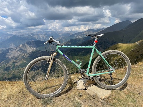 Bianchi colore verde - bianchi,