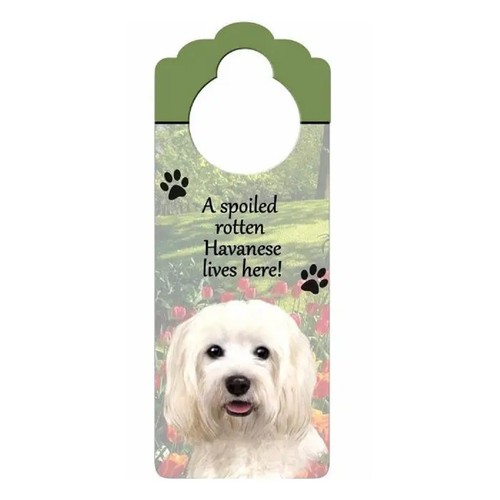 Insegna pomello porta havanese - porta,