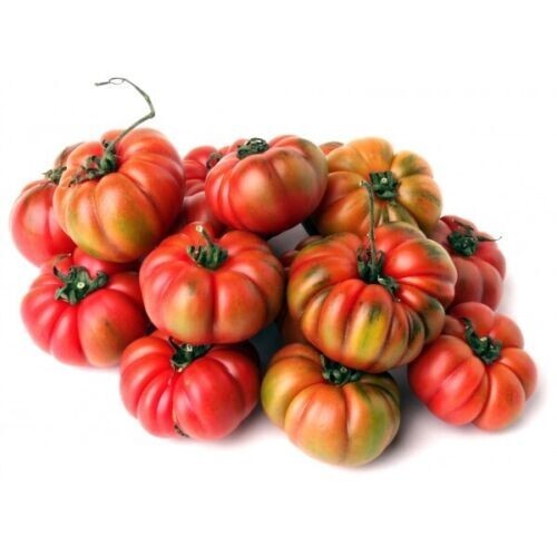 Pomodoro costoluto semi - pomodoro,