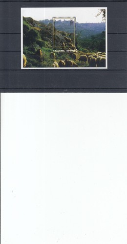 Uganda pecore postali - uganda, bl.
