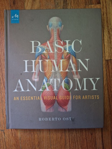 Basic human anatomy - human,