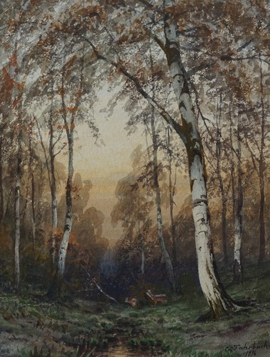 Serata nel bosco betulle - bosco, di