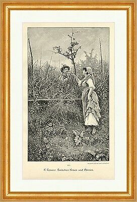 Zonaro tra rose e spine - f.,