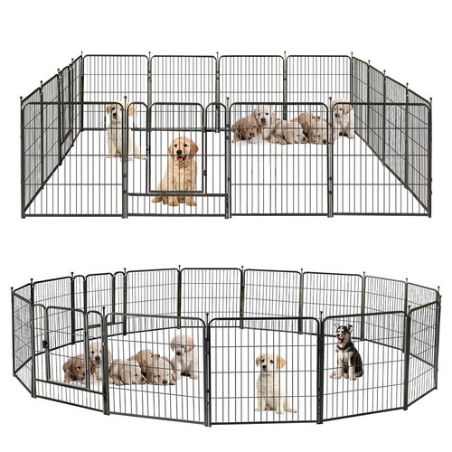 Box per cani - box,
