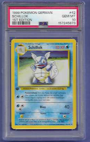 Schillok 1999 - (wartortle),