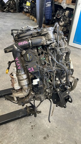 Motore ford fiesta - fiesta, 8v