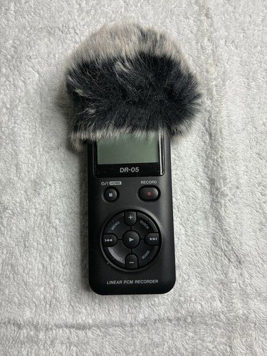 Tascam linear pcm - linear,