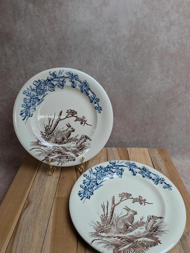 Lot assiettes terre de - lot, 2