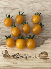 Pomodoro semaforico giallo