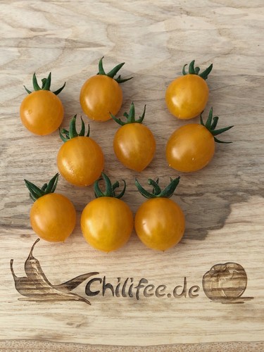Pomodoro semaforico giallo