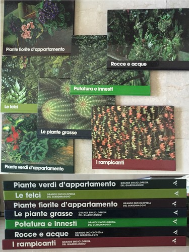 Grande enciclopedia del