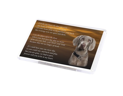Weimaraner dog fridge magnet - fridge,