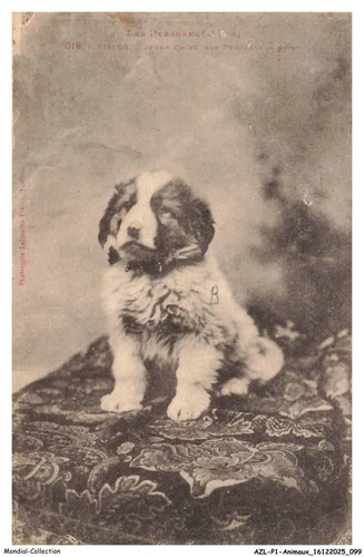 Azlp1 0052 animaux - -,