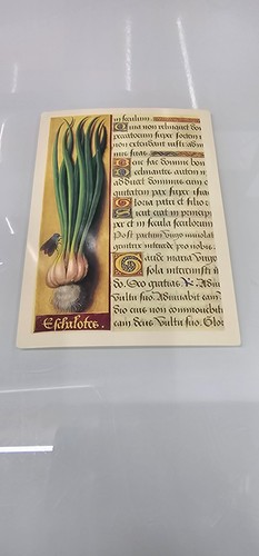 Cartolina scalogno libro - un,