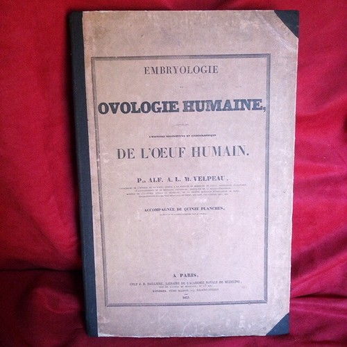 Embriologia ovologie umana - embriologia, o