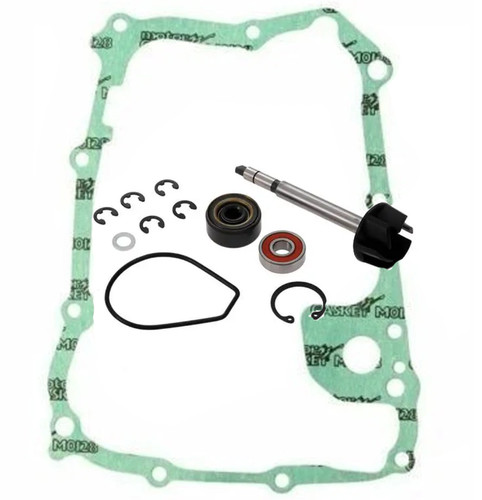 Kit revisione pompa acqua - revisione,