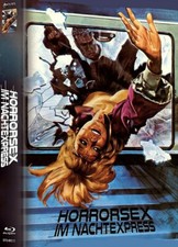 LA RAGAZZA DEL VAGONE LETTO