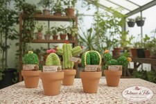 Cactus amigurumi realizzati