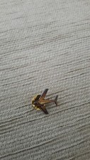 Spilla da bavero aereo