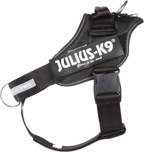 Julius 16idc pbghs 1 - julius-k9, 16idc-pbghs-1
