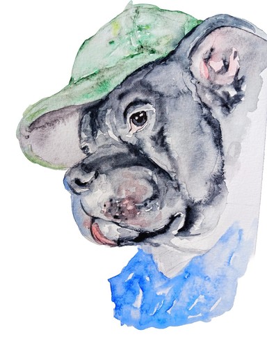 Bulldog pet dog - bulldog, art,