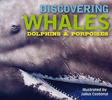 Discovering Whales, Dolphins