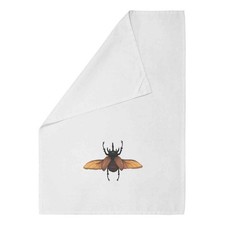 'Atlas Beetle Flying'