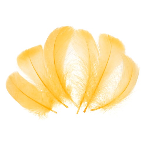 100 pcs piume artigianali - 100,