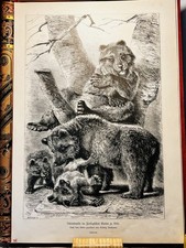 Ludwig Beckmann famiglia di