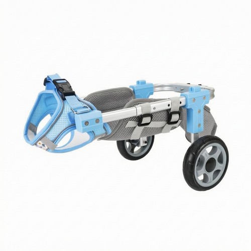 Sedia rotelle cani - rotelle,