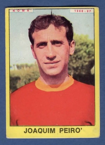 Figurina calciatori panini - figurina,