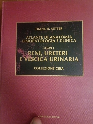Atlante anatomia - atlante,