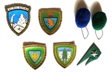 ALPINI , distintivi omerali +2