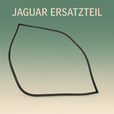 Guarnizione porta anteriore