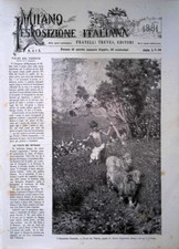 Copertina Milano Esposizione Italiana nr. 4 e 5 del 1881 Falde Vesuvio Campriani