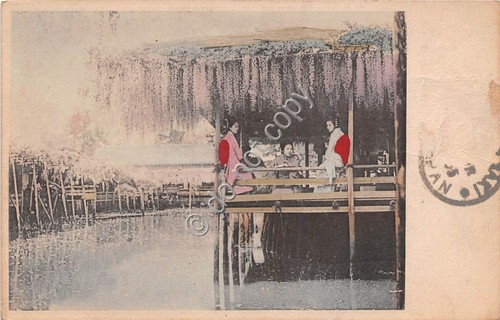 Cartolina postcard - -,