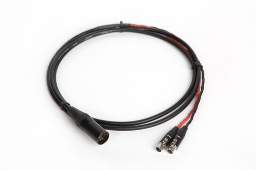 Canare cavo per audeze - cavo,