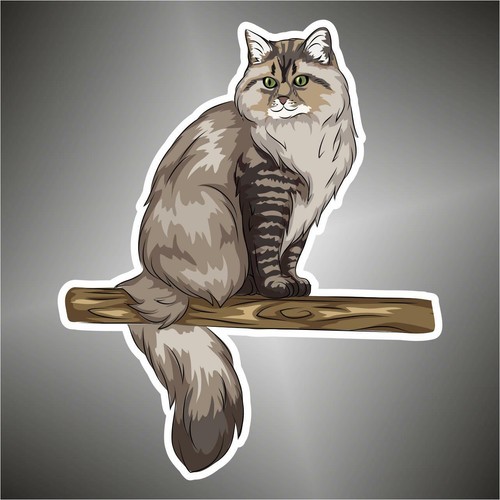 Adesivo gatto siberiano car - adesivo,