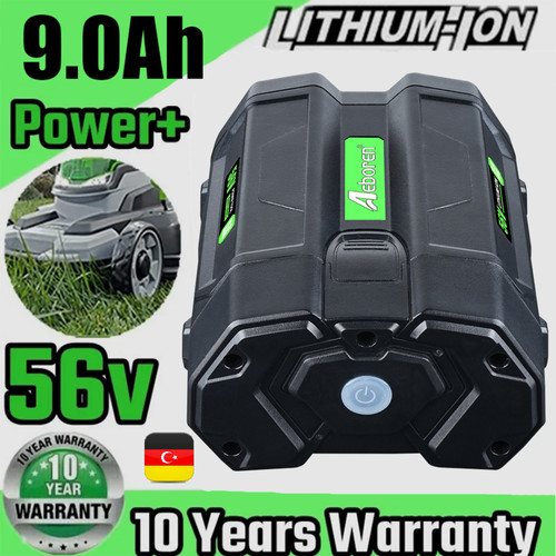 Batteria agli ioni - , 56