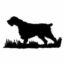 adesivo deutsch drahthaar Cane