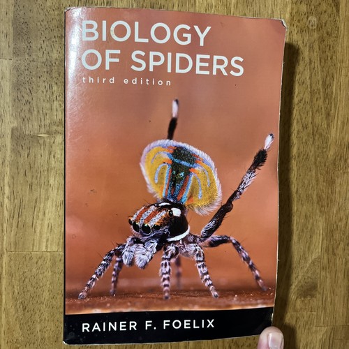 Biology spiders rainer - spiders, f