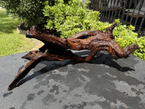 Driftwood mopani acquari pesci - mopani,
