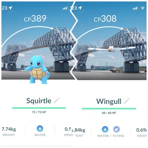 Carta posizione squirtle - carta,