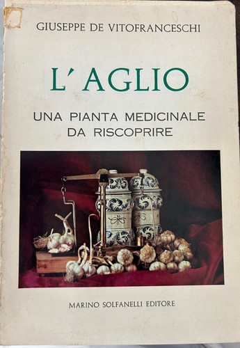 Aglio una pianta medicinale - l'aglio,