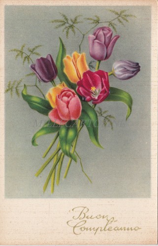 Buon compleanno fiori - buon,
