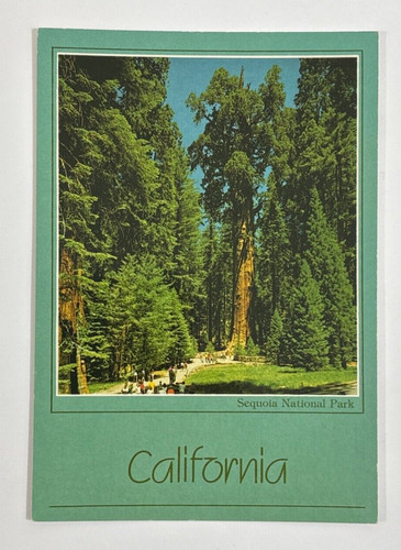 Cartolina the general sherman - general,