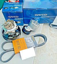 TENDICINGHIA CINGHIA SERVIZI