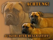 BULLMASTIFF cartello per cani