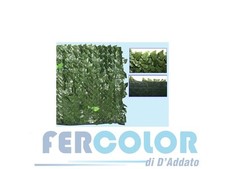 Siepi Lauro oscurante siepe